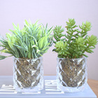 Kit Com 2 Arranjos Folhagem E Suculentas No Vaso De Vidro | F